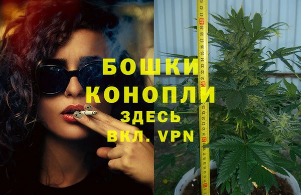 тгк Медвежьегорск