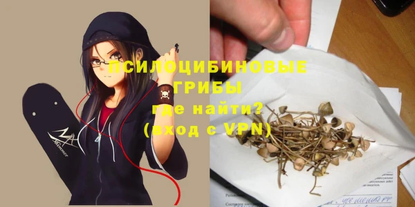соль ск Мегион